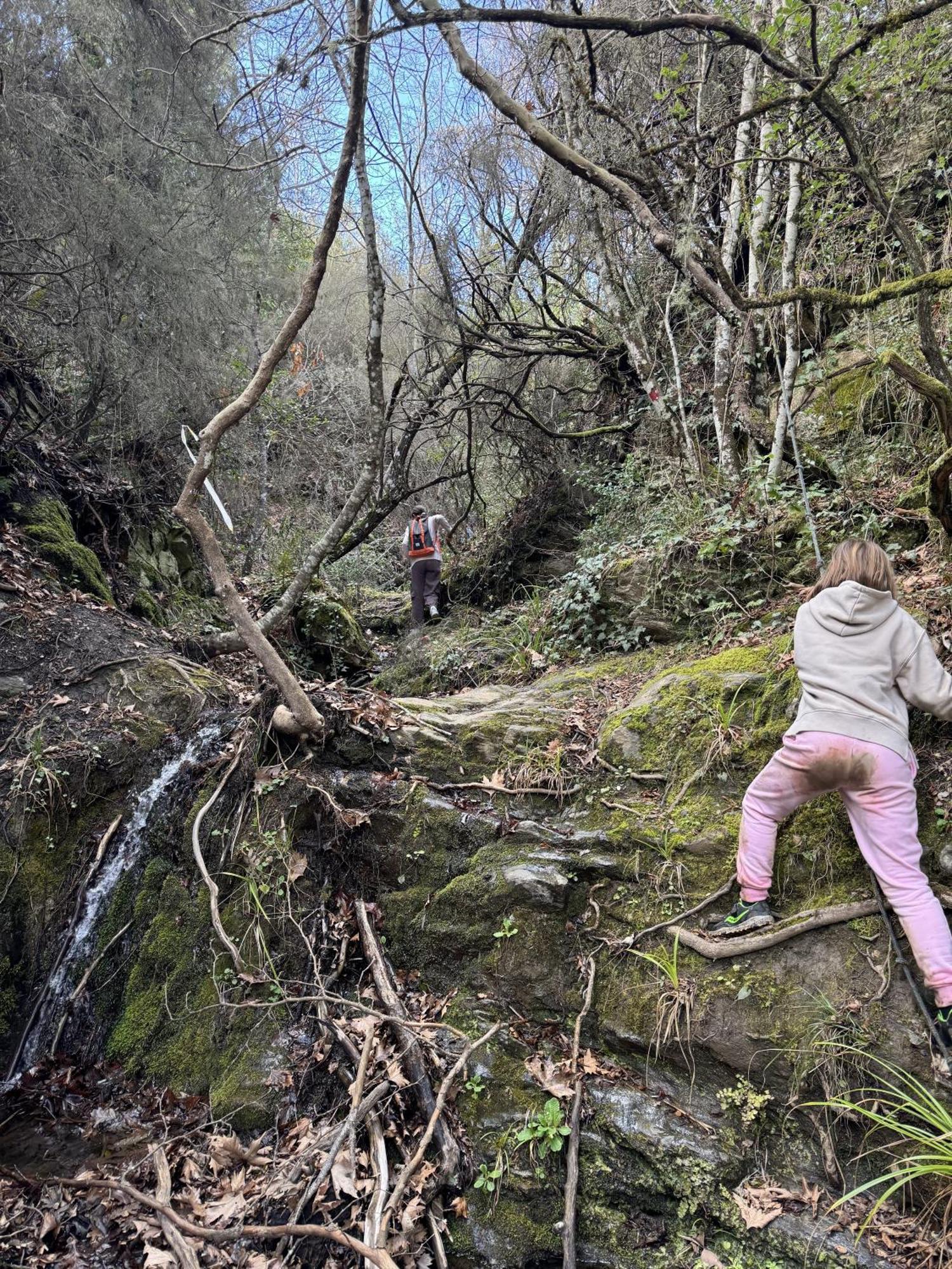 Foresta In Medias Mores تريبوليس المظهر الخارجي الصورة