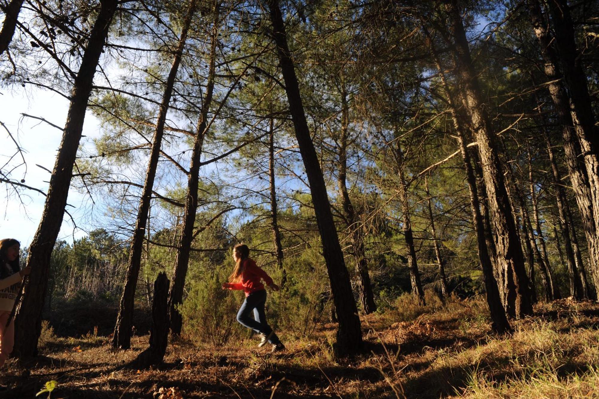 Foresta In Medias Mores تريبوليس المظهر الخارجي الصورة