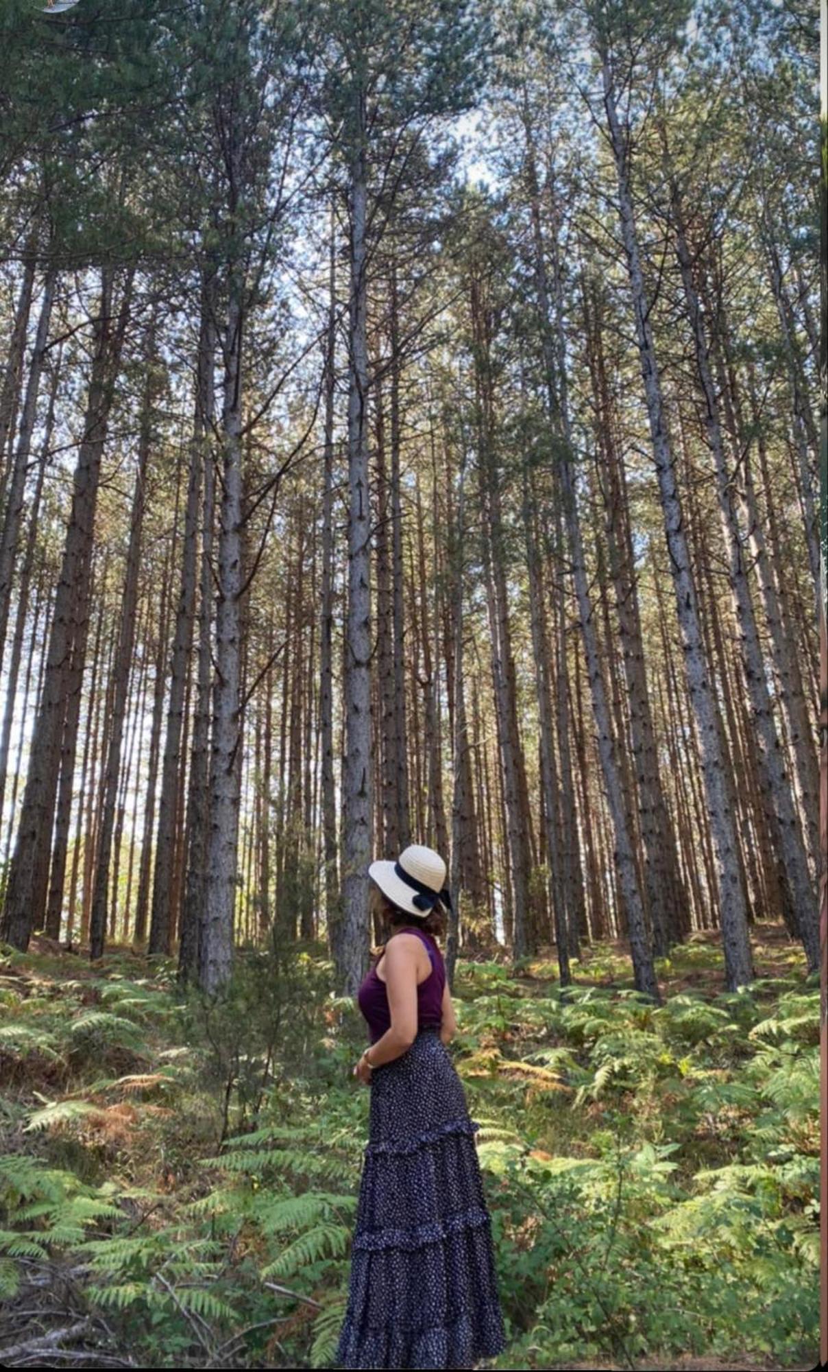 Foresta In Medias Mores تريبوليس المظهر الخارجي الصورة