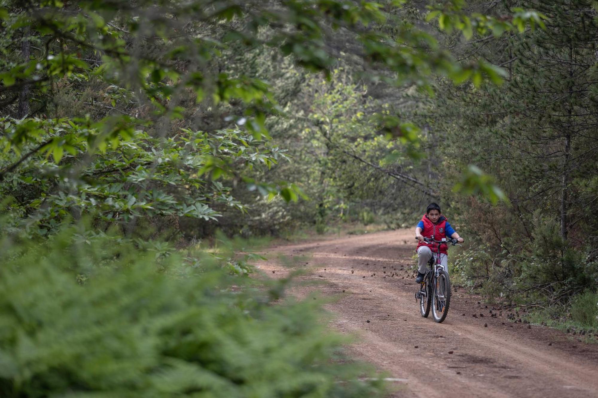 Foresta In Medias Mores تريبوليس المظهر الخارجي الصورة