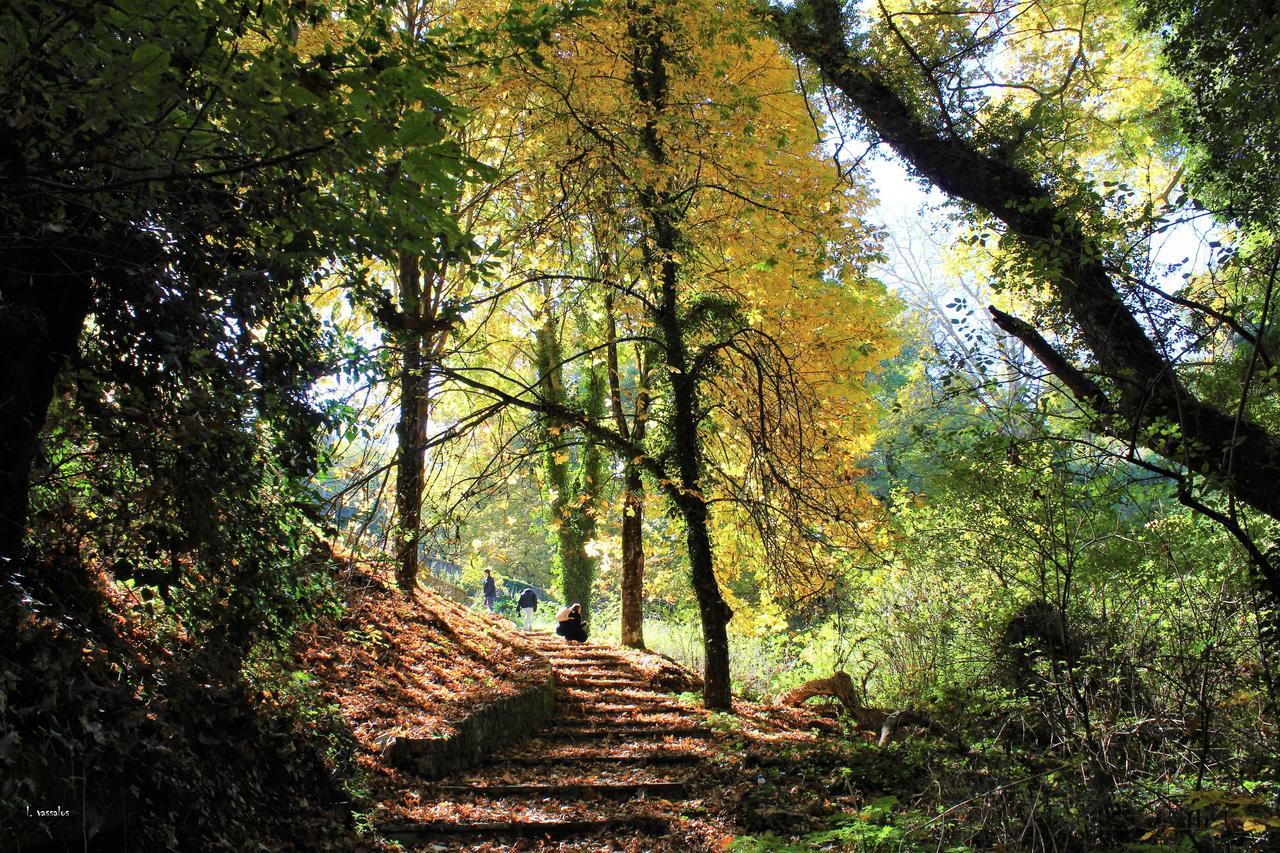 Foresta In Medias Mores تريبوليس المظهر الخارجي الصورة